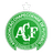 Chapecoense SC logo - Brazilian Serie A 32194 Football Result