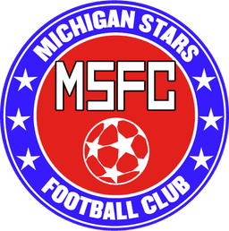 Michigan Stars logo