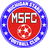 Michigan Stars logo