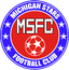Michigan Stars logo