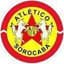Linense(BRA) logo