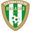 Illes Akademia Haladas U19 logo