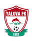 Yalova 77 U19 logo