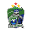 Minas ICESP DF Women logo