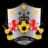 FC San Nicolas logo