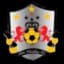FC San Nicolas logo