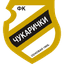 FK Čukarički logo