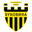 FC Bukovyna chernivtsi logo