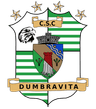 ACS Dumbravita logo