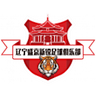 Liaoning Shengjing Xinrui logo