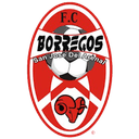 FC San José del Arenal logo - Arenal VS Valle De Xico Fc Result Today