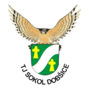 Sokol Dobsice logo - Dobsice VS Tj Moravan Lednice Live Score