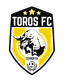 FC CEPROFFA logo