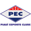 Piaui PI (Youth) logo