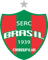 Brasil De Farroupilha/RS U20 logo