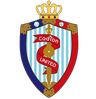 Haimen Codion logo