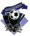 Pinggera Dogisik FC logo - Fc VS Pinggera Dogisik Fc Result