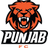 Minerva Punjab logo