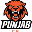 Minerva Punjab logo
