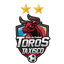 Toros De Taxisco logo