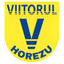 ACS Viitorul Horezu logo