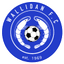 Wallidan FC logo