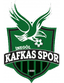 Inegol Kafkasspor U19 logo