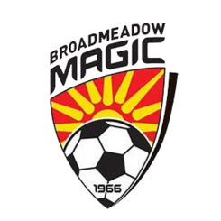 Broadmeadow Magic logo