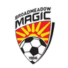 Broadmeadow Magic logo