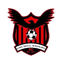 Uni Hill Eagles FC logo