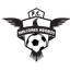 Halcones Negros logo