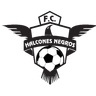 Halcones Negros logo