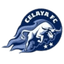 Celaya II logo