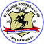 St George Willawong FC logo