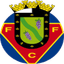 FC Felgueiras logo