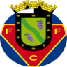 FC Felgueiras logo