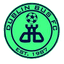 Dublin Bus FC logo