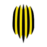 Rukh Vynnyky logo