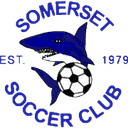 Somerset logo - B VS Somerset Sport
