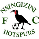 Nsingizini Hotspurs logo - Club VS Nsingizini Hotspurs Score