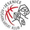 NK Jesenice logo - Dravinja VS Nk Jesenice Live Score Today