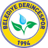 Derincespor logo