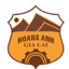 Hoang Anh Gia Lai U21 logo
