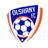Novaya Pripyat logo