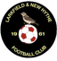 Larkfield New Hythe logo