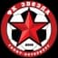 Zvezda Sint Petersburg Women logo
