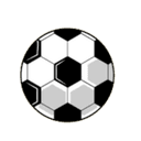 TJ SH Jiretin/Litvinov logo - Jiretinlitvinov VS Tj Oldrichov Sport