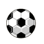 TJ SH Jiretin/Litvinov logo