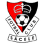 FC Sacele logo