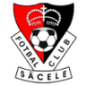 FC Sacele logo